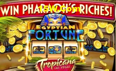VIP Rewards System